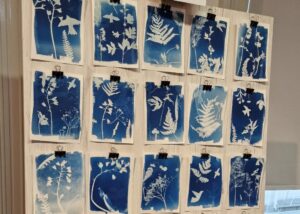Blue and white prints are displayed on a white board. The prints show outlines of various plants and birds.